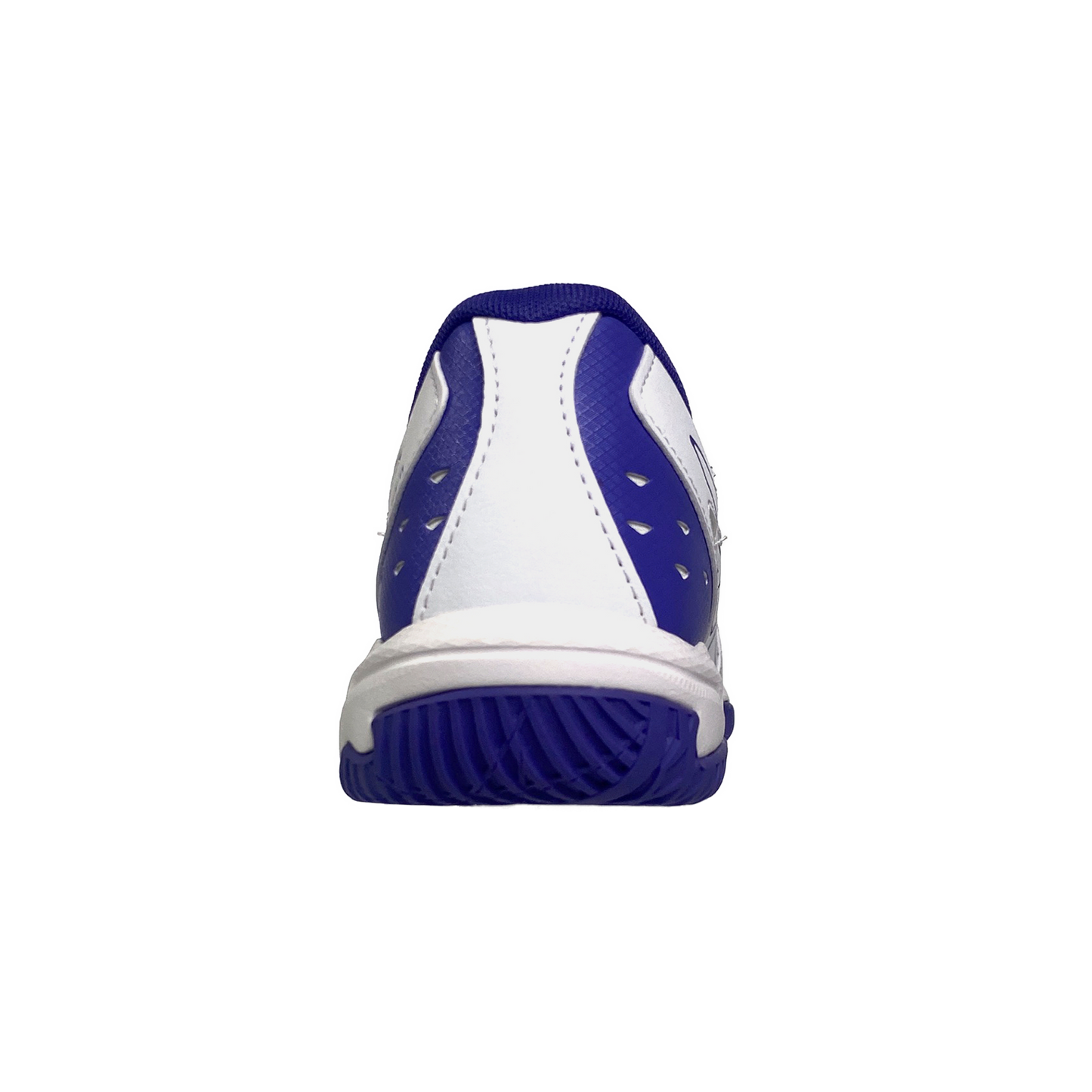Asics Gel-Rocket 11 Indoor Femme 1072A093-100