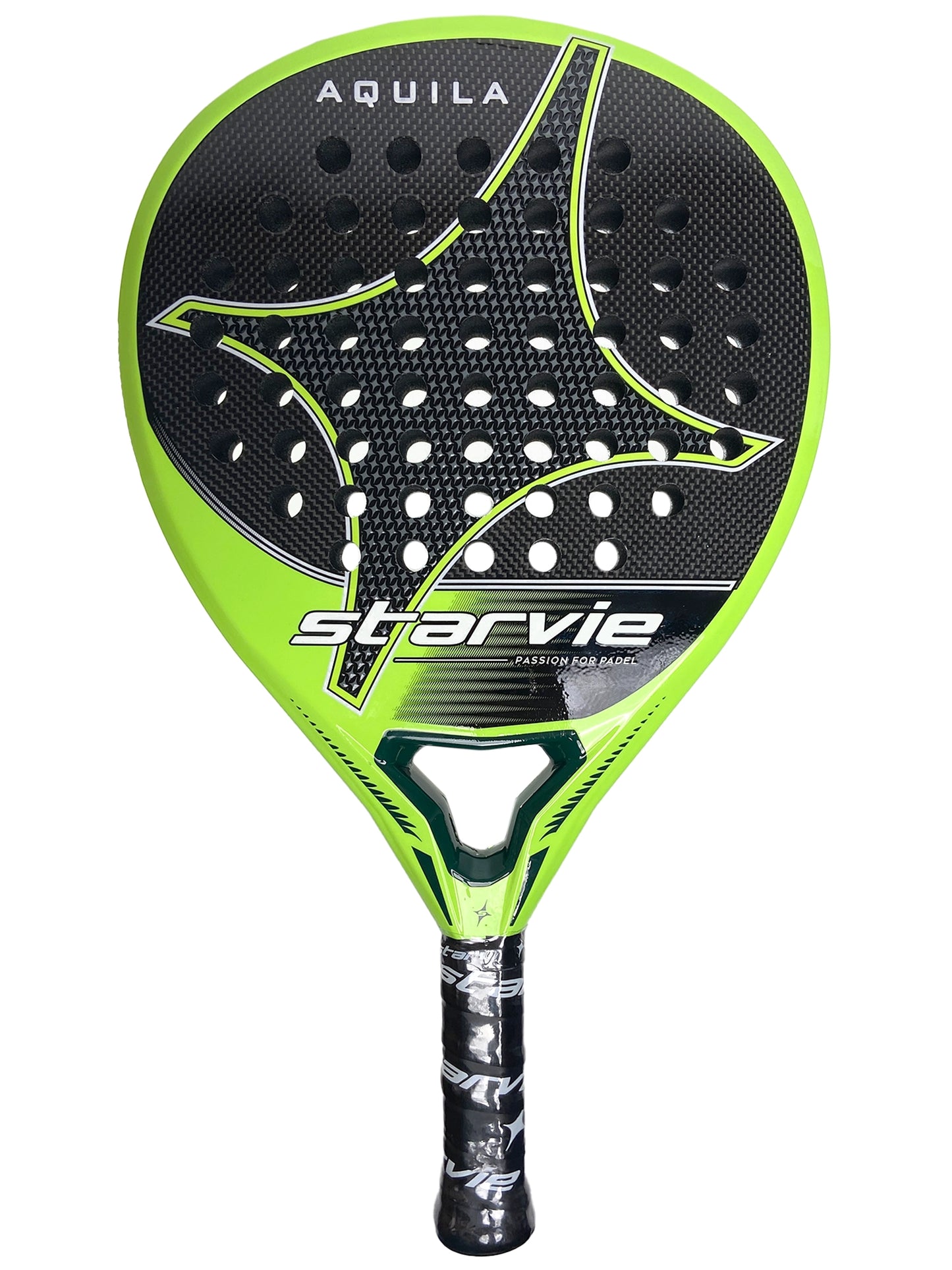 Starvie Aquila