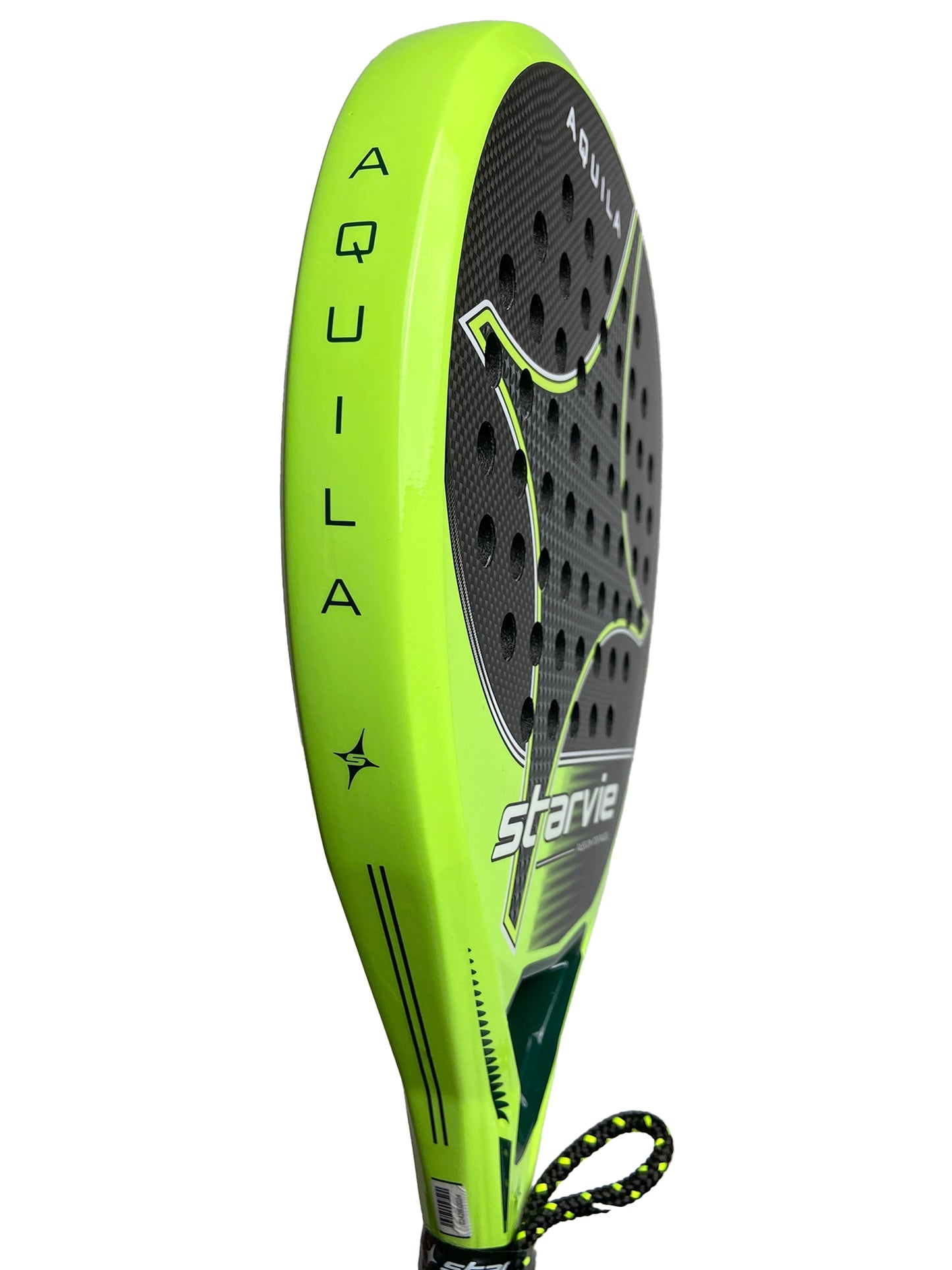 Starvie Aquila