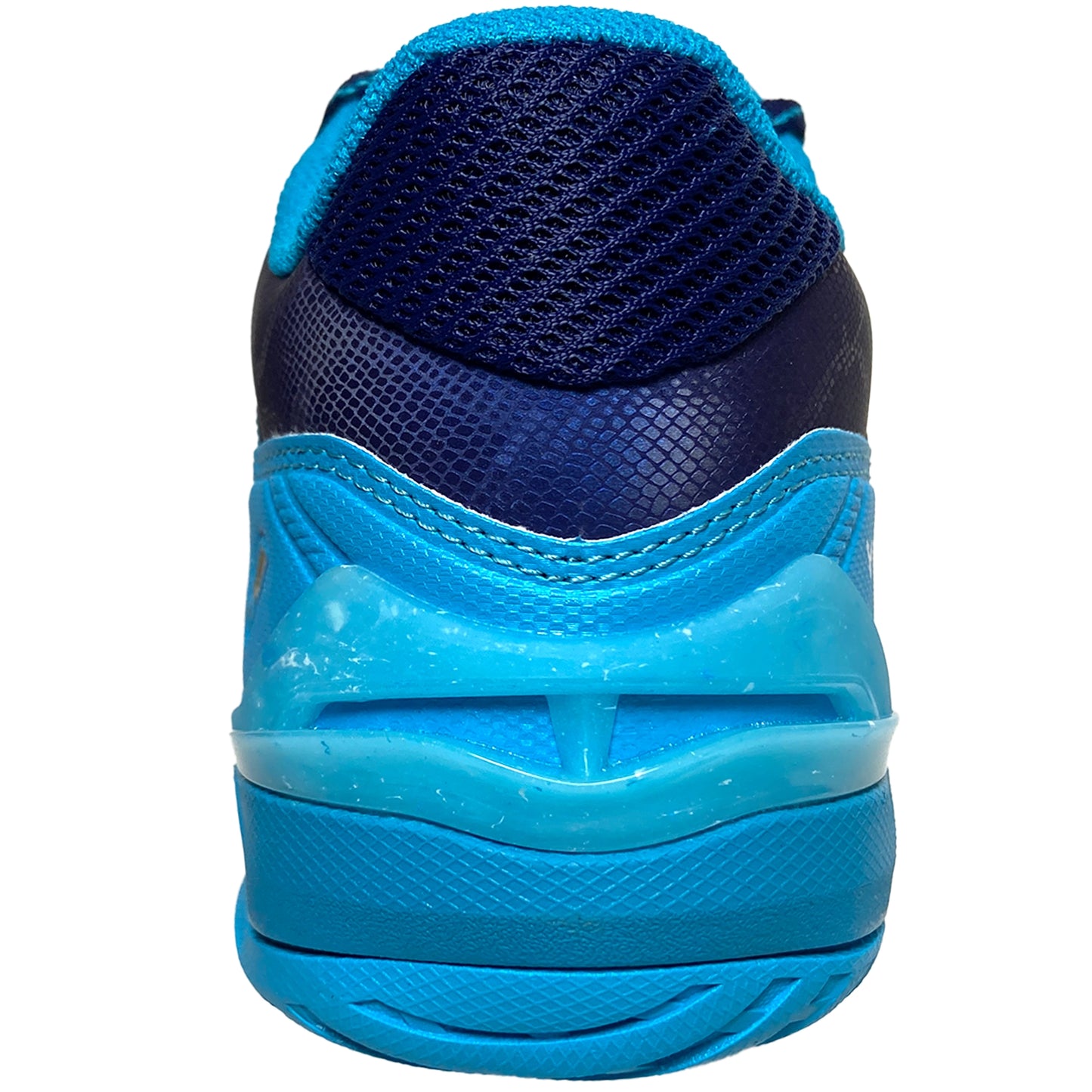 Victor Men's Indoor VG2NitroLite F