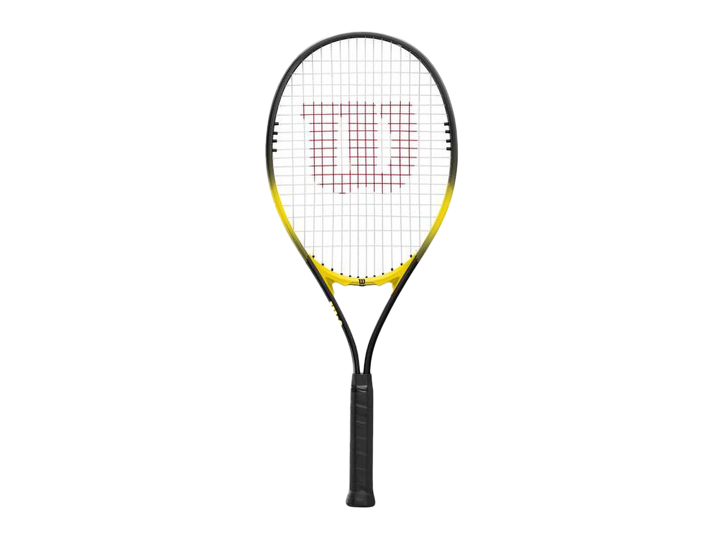 Wilson Energy XL Cordée (WR199310)