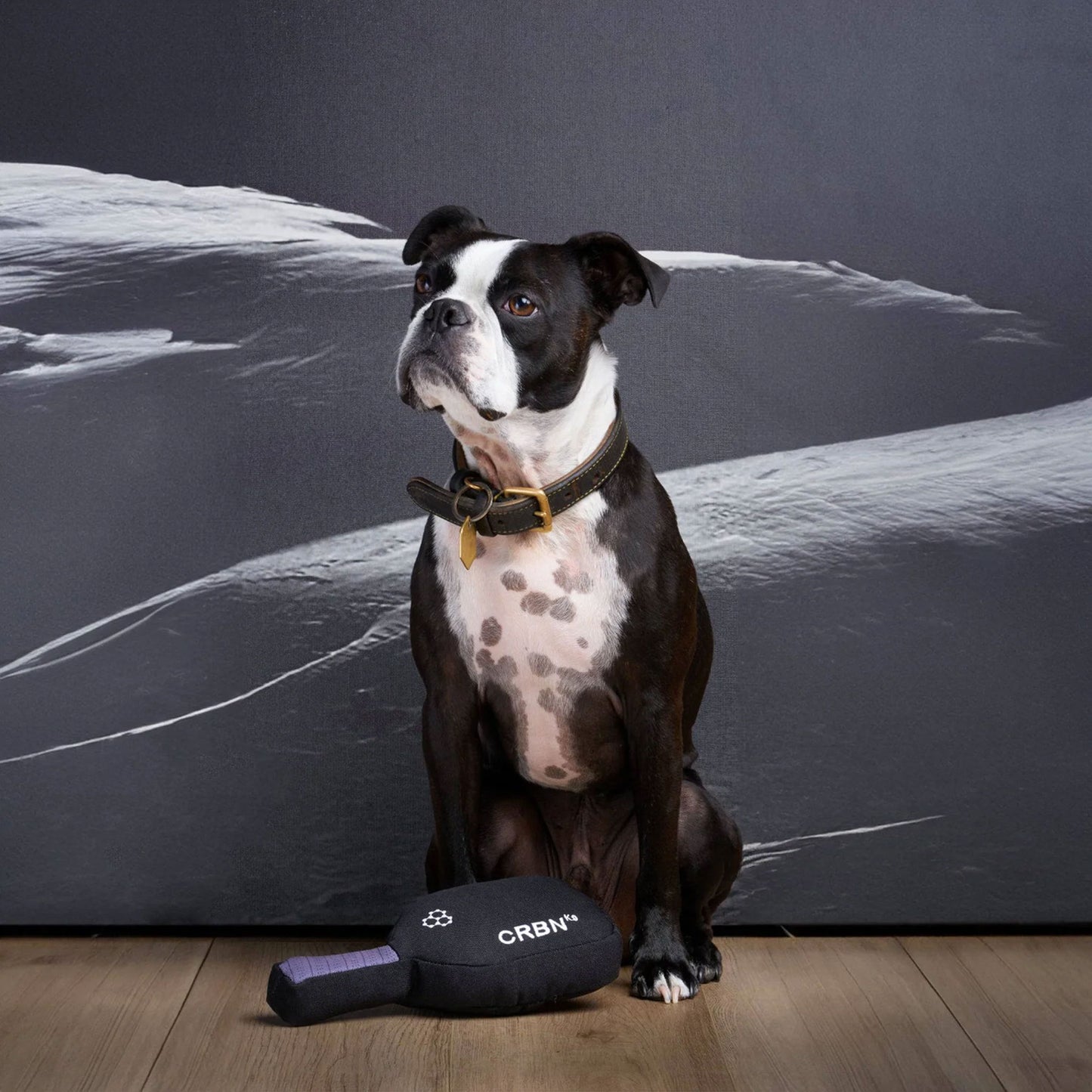 CRBNᴷ⁹ Jouet pour chien
